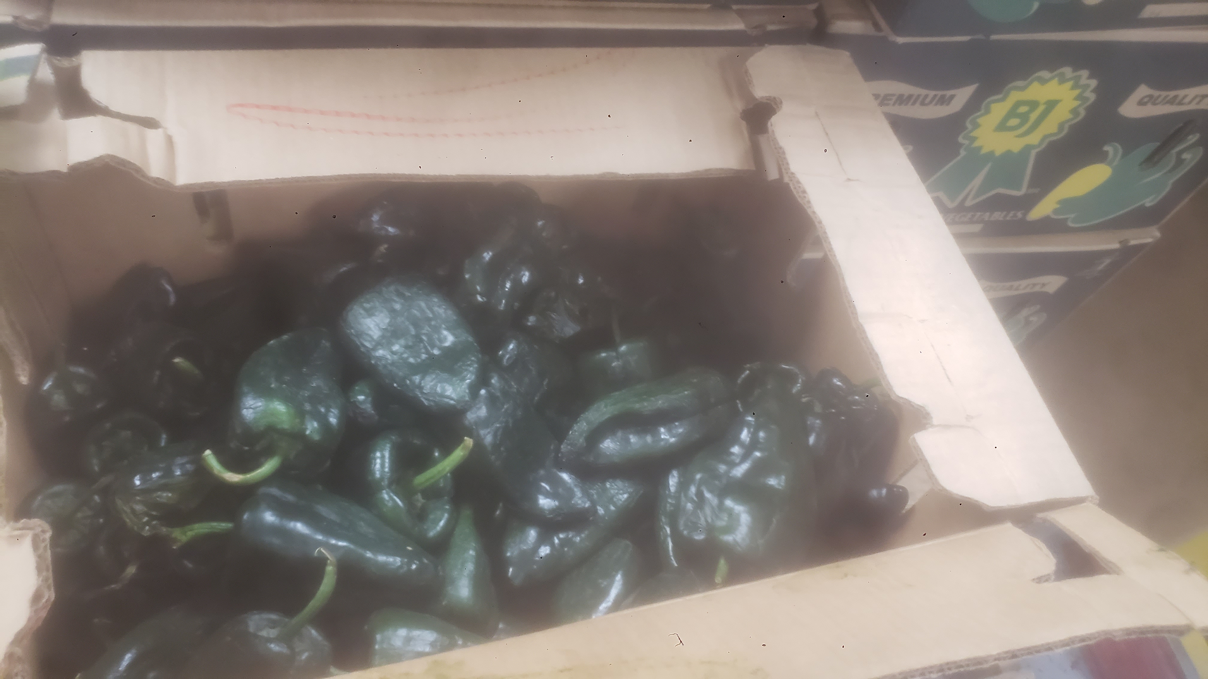 Poblano peppers in a cardboard box.